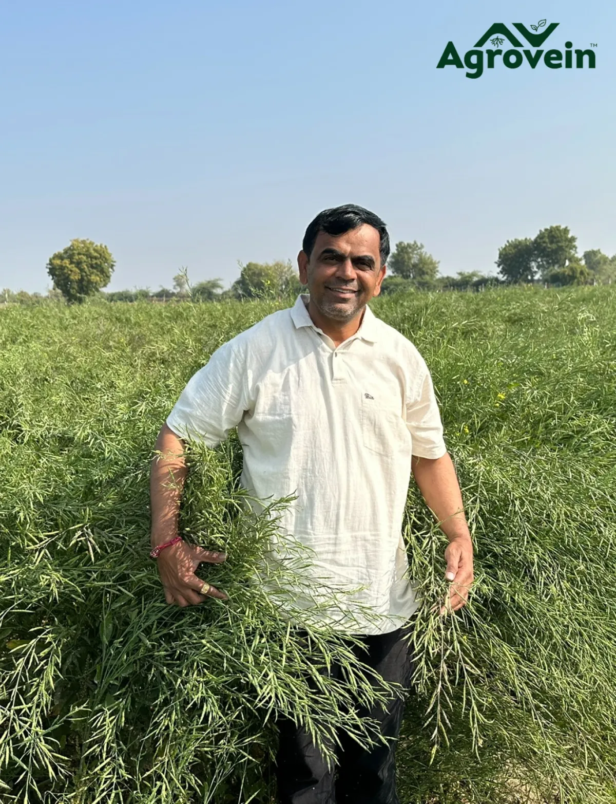 Balanced Nutrition by Mexild™ for Powerful Mustard Results