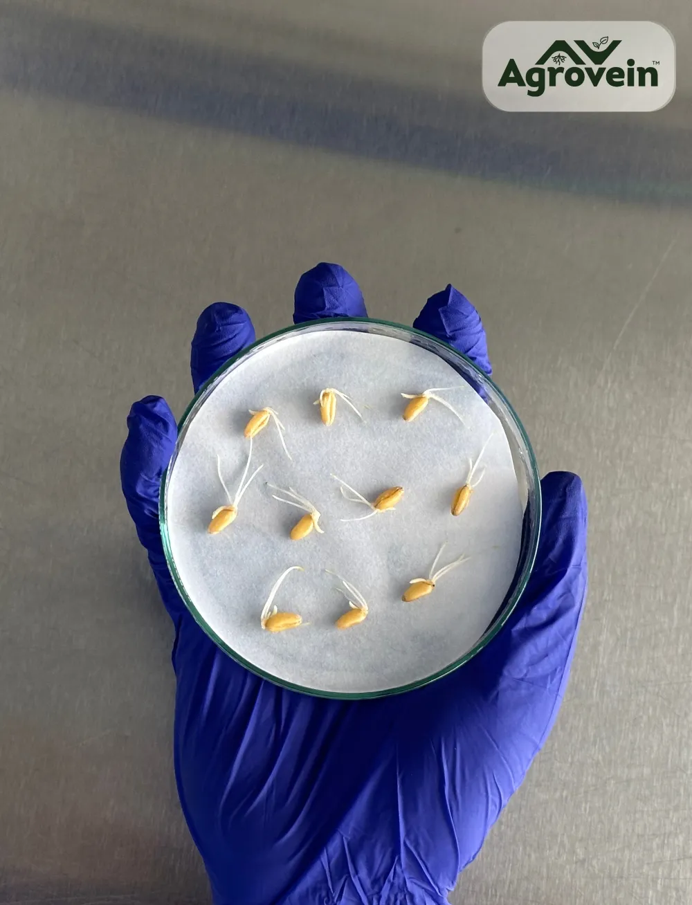 Agrovein Solutions Blog Images