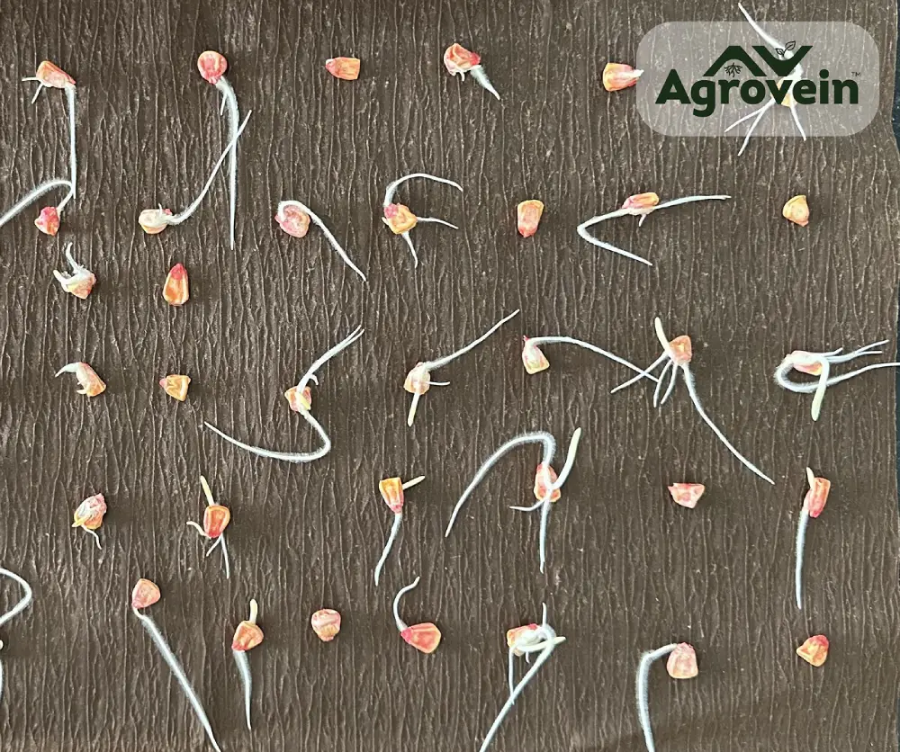 Agrovein solutions Products